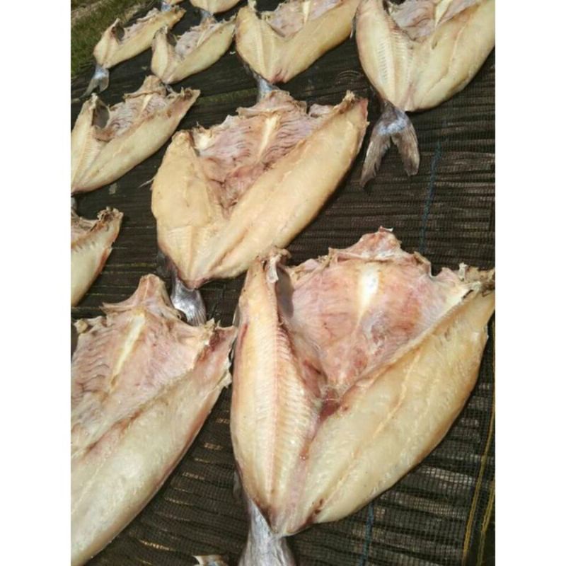 

ikan asin jambal roti super 500 grma asli Pangandaran