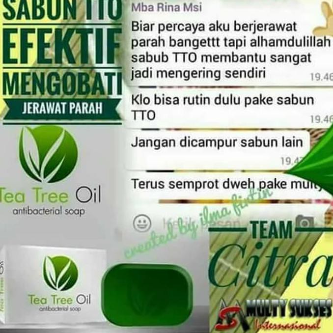 Sabun Tea Tree Oil Msi Tree Tea Oil Msi Tto Anti Bacterial Soap Indonesia