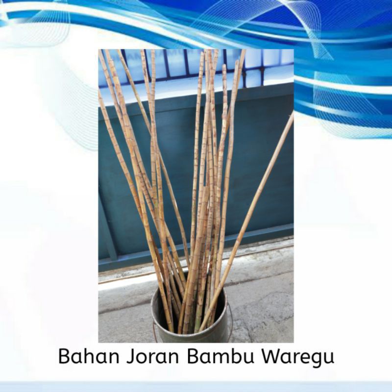 bahan joran waregu tua 150 cm