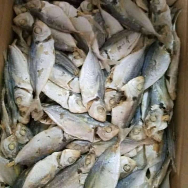 

IKAN ASIN REBUS SELAR HARGA 500 GRAM