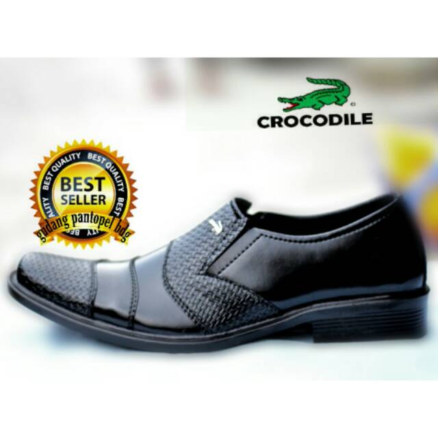 Terlaris / Formal Kerja Kantor Pria Kulit Asli CROCODILE Coklat Men Leather Shoes Casual Men Loafers