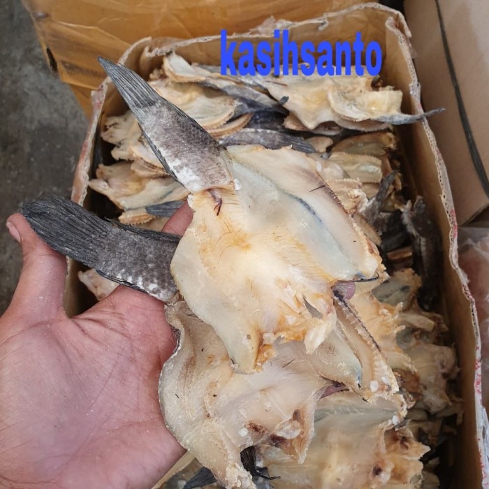 

Q0121Sa Ikan Asin Gabus - Gabus,Kcil-500G D5qs44