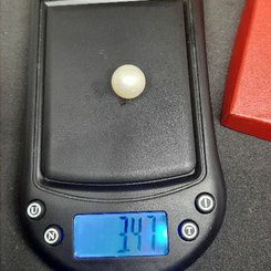 Mutiara Air Laut Lombok Asli