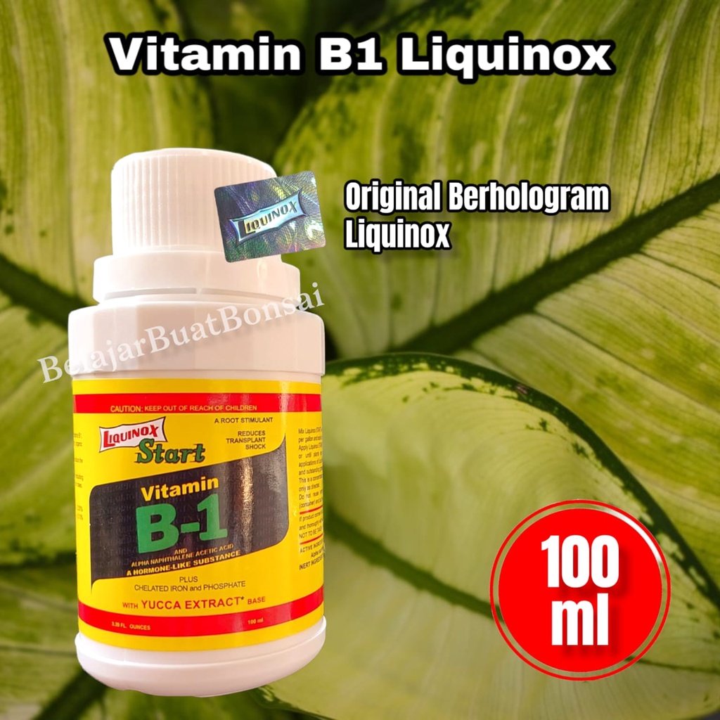 Pupuk Vitamin B1 Liquinox 100ml Liquinox Start USA