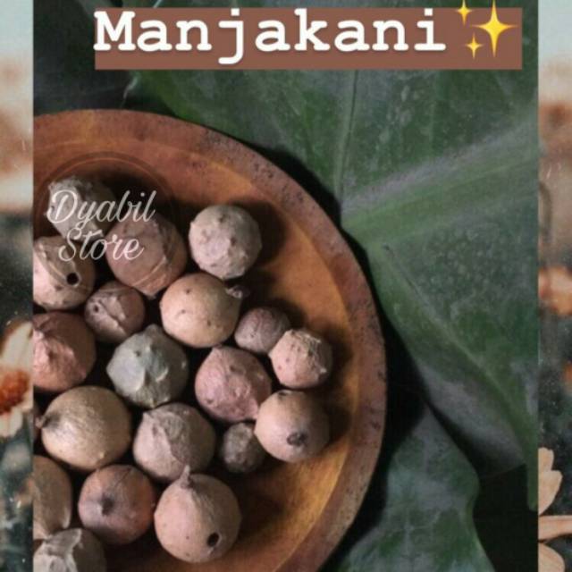 50 GR MANJAKANI | BIJI MANJAKANI | MAJAKANZA | MANJAKANI ORIGINAL | OBAT KEPUTIHAN | KISTA