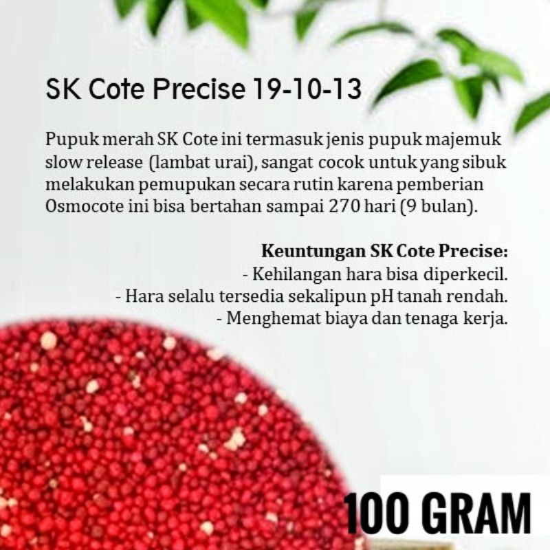 PUPUK SK COTE PRECISE 19-10-13+2.5Mg TE OSMOCOTE MERAH