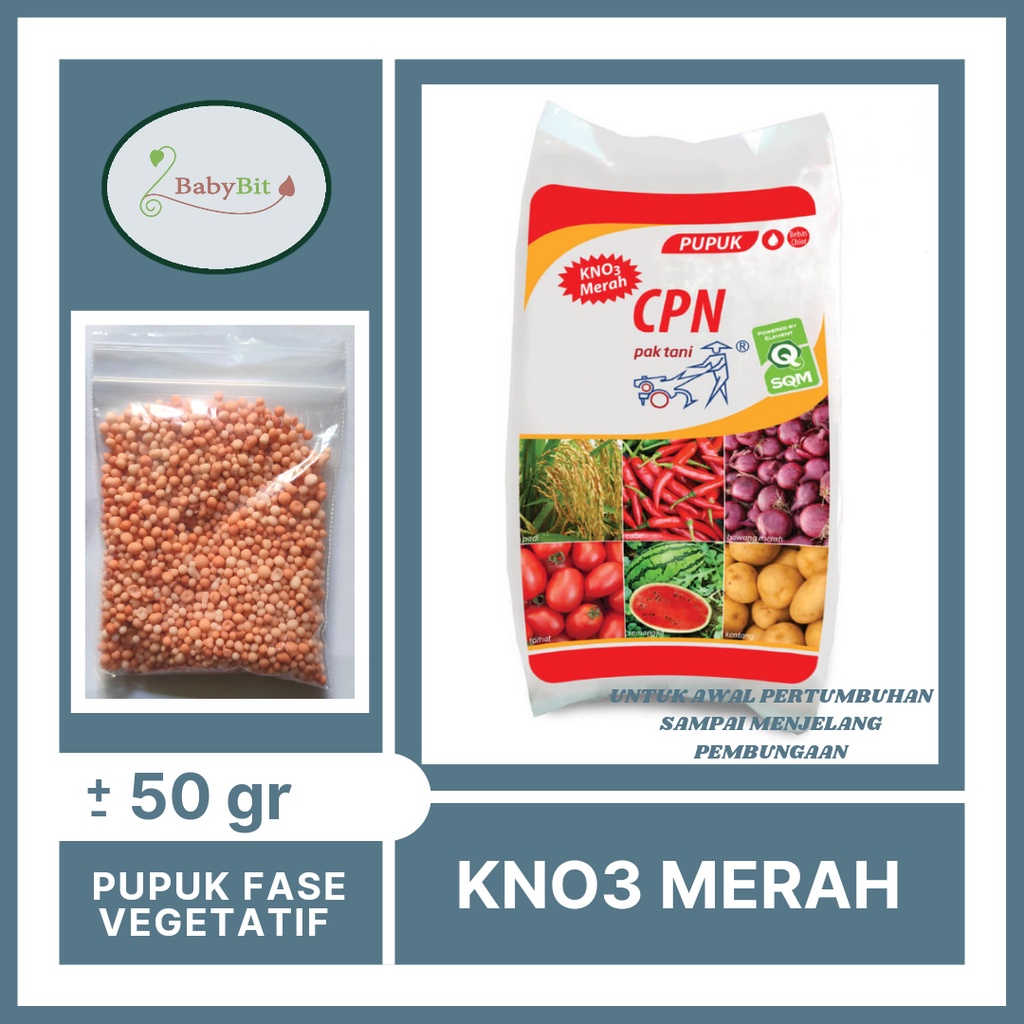 Pupuk Kno3 Merah