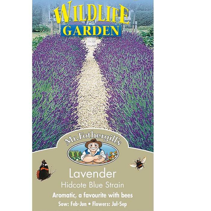 Best Seller KODE-713 4 Seeds - Lavender Hidcote Blue Biji Benih Mr Fothergill's - SR0100