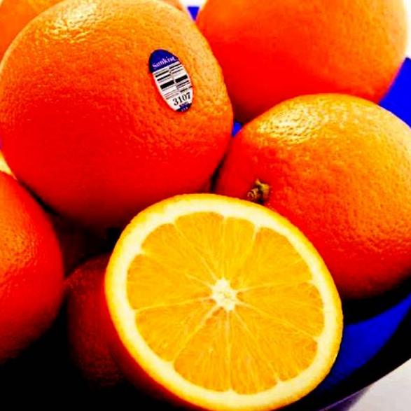 

Terupdate L7QPS Jeruk sunklis,jeruk medan dan jeruk santang madu 43 Big Sale