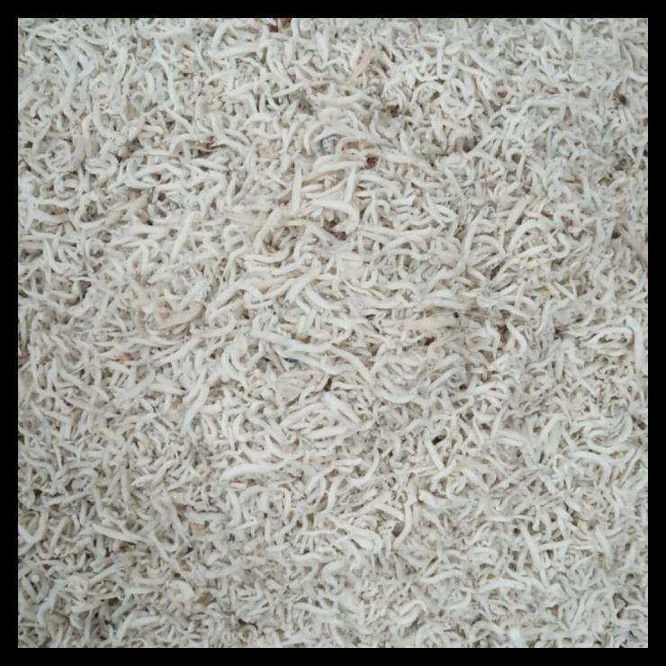 

DISKON TERBATAS !!! IKAN ASIN TERI NASI MEDAN 1 KG FRESH TERLARIS