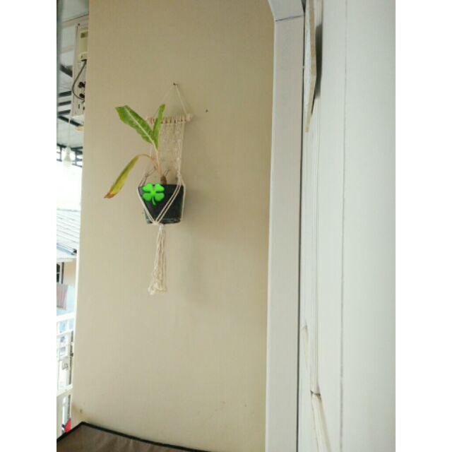 Macrame Gantungan Pot Tali Katun Kode: Ganpot-cr-008