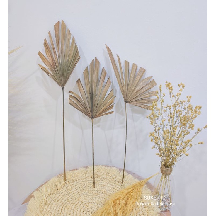 Daun Palem JARI Dekorasi Aesthetic