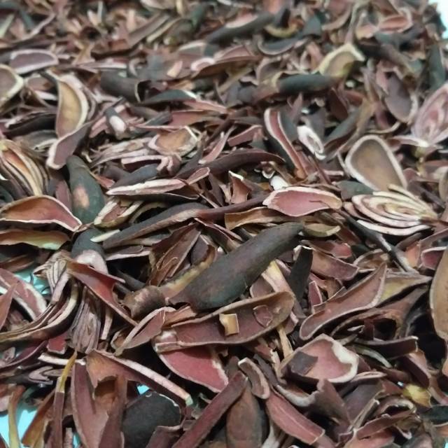 

Bawang dayak kering herbal alami BDK01
