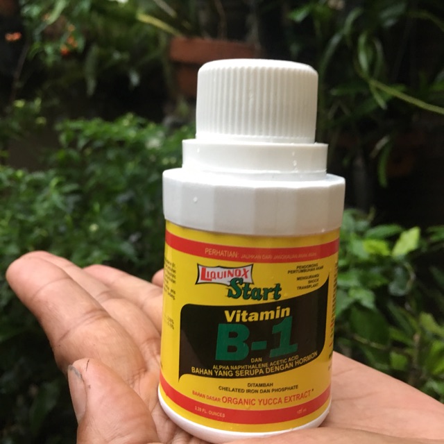Liquinox Vitamin B1 Star / Anti Stress Tanaman (ASLI)