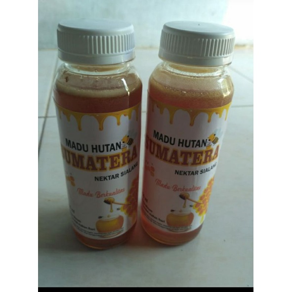 

Madu hutan nextar Sumatra Asli 100%