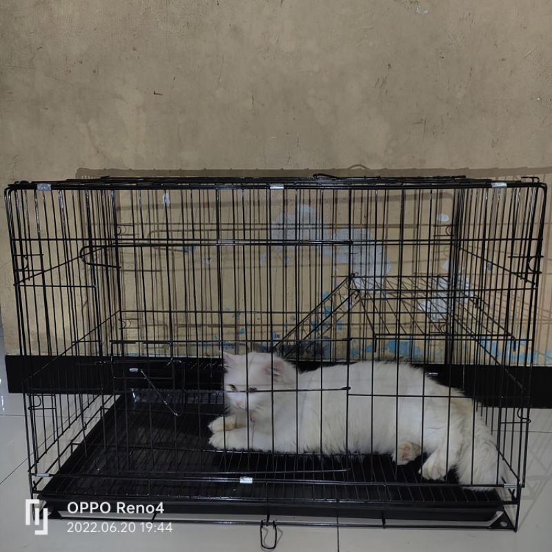 KANDANG KUCING MURAH TINGKAT 1 SIZE L 60X45X55 CM