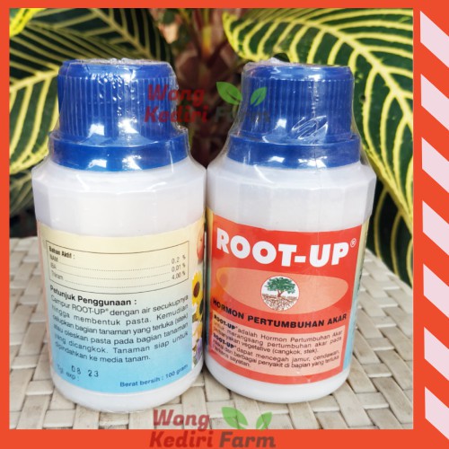 Root Up Hormon Perangsang Akar Stek Cangkok 100gr Botol