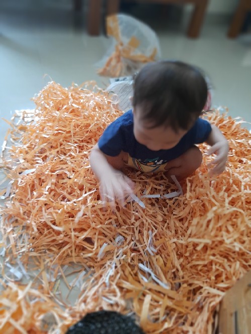 Kiwi Loyang Tulban 24cm