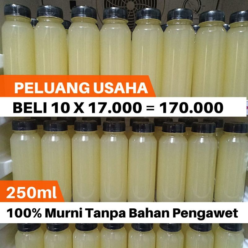 

sari lemon murni tanpa label 250ml PREMIUM