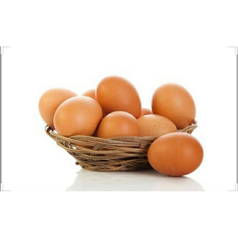 

telur ayam negeri 1 kg