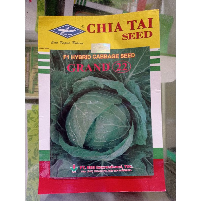 Benih Pertanian Kubis / Cabbage F1 GRAND 22 [15 Gram]