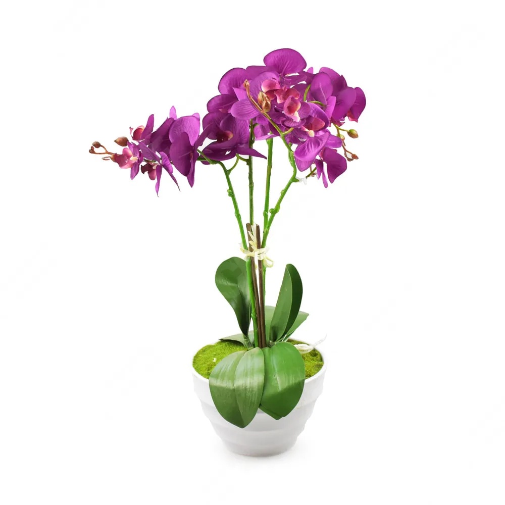 ACE Bunga Artifisial Anggrek Phalaenopsis - Ungu