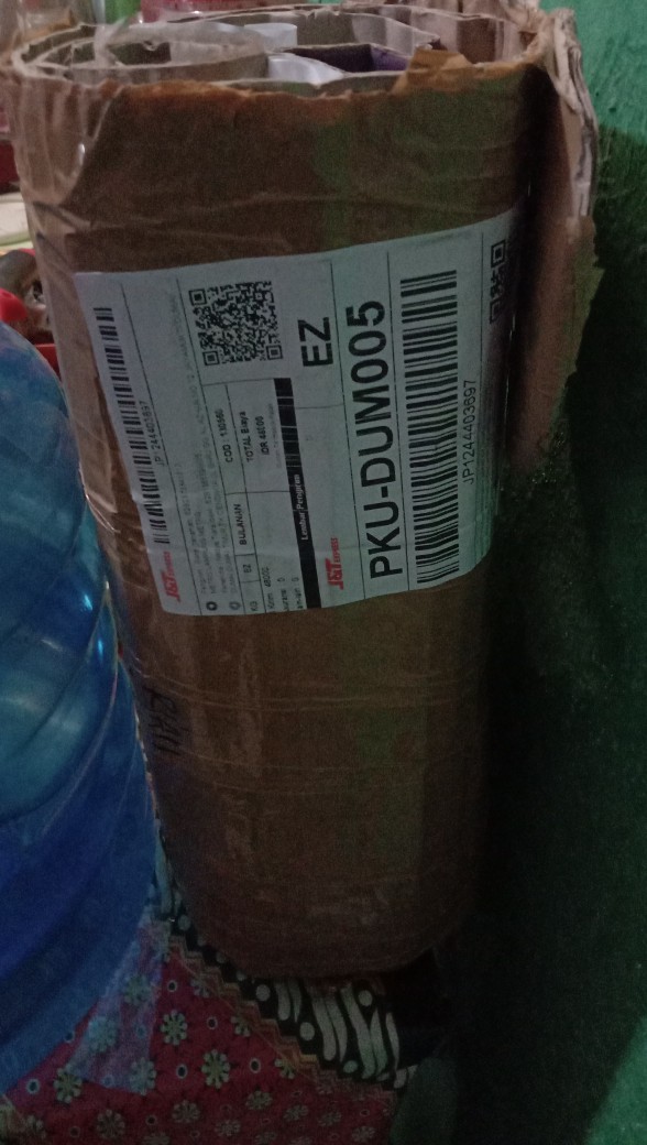 Bibit Bunga Kamboja Jepang Terbaru