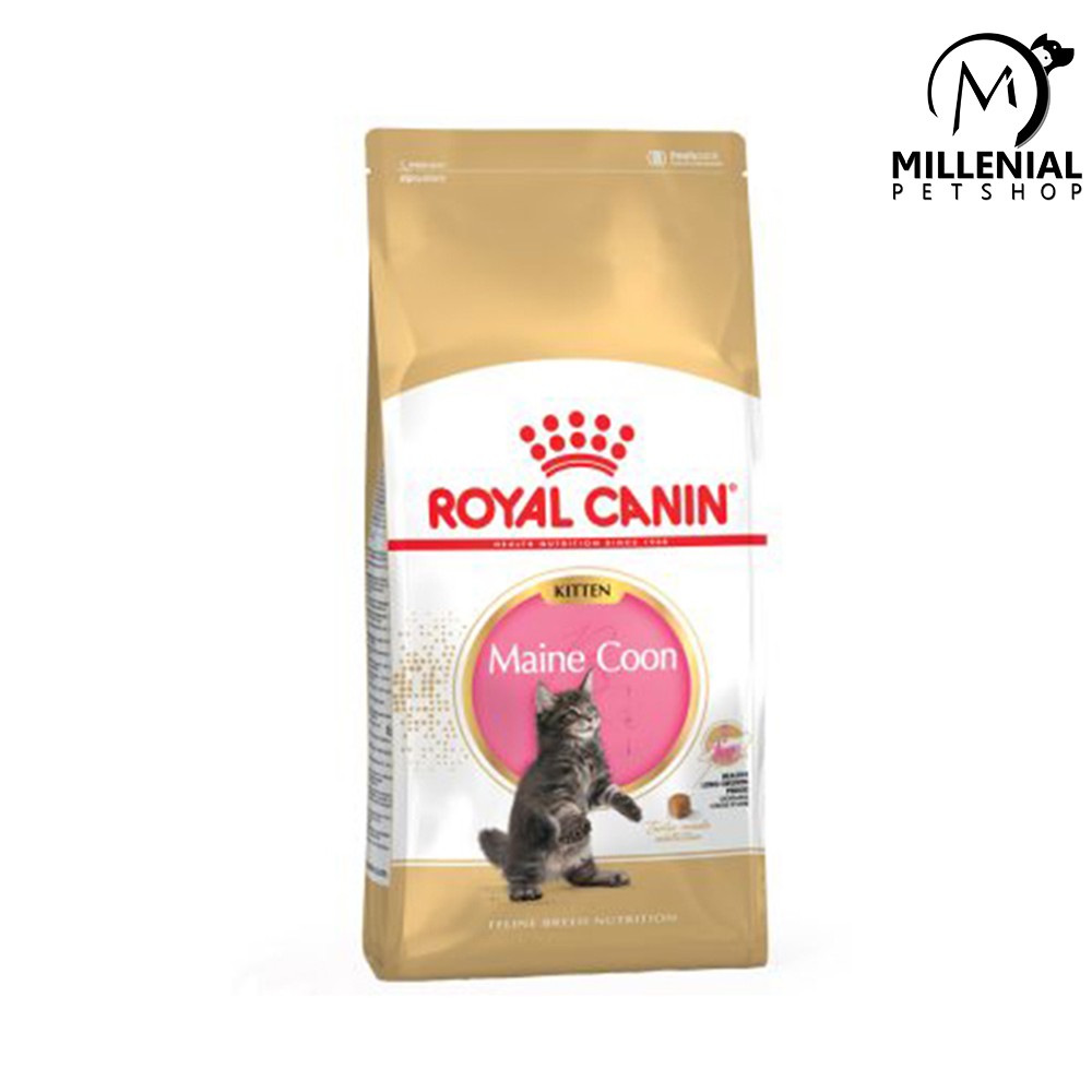 Makanan kucing Royal Canin kitten mainecoon 31 400gr dry food mainecoon kitten 400gram