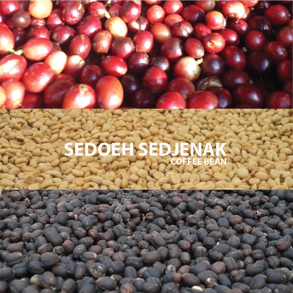 

NG Kopi Arabika Luwak Liar 100gr Kopi Premium Spesiality Kopi Biji dan Bubuk