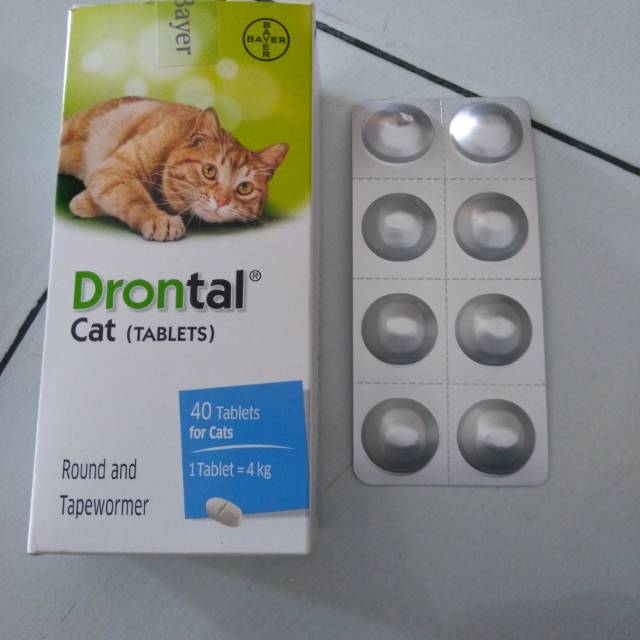 Drontal Cat