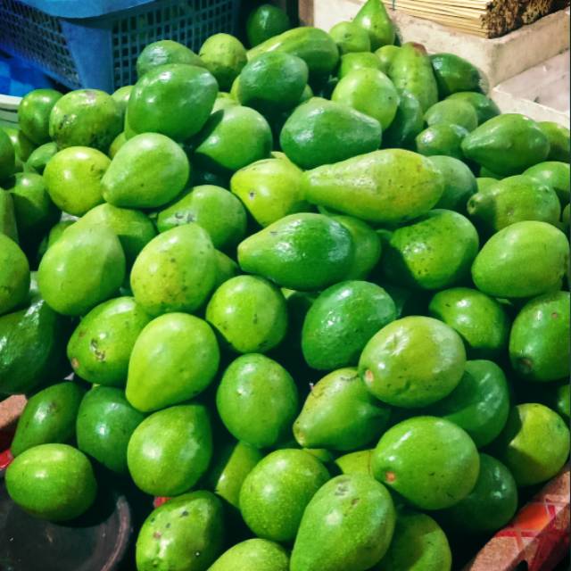 

Buah Alpukat Murah