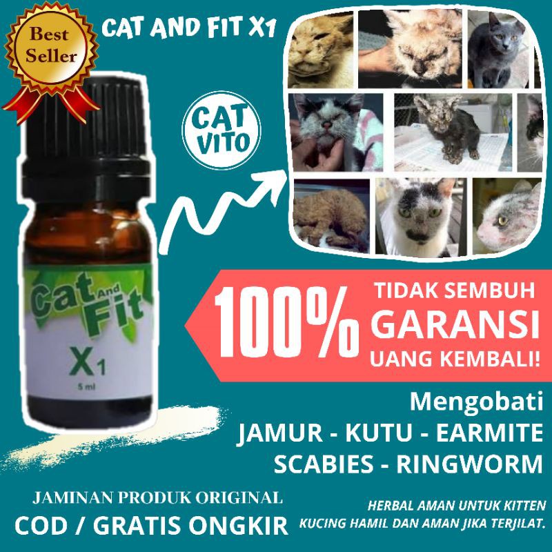 PAKET AMPUH! CAT AND FIT X1 DAN HERBACAT OBAT KUCING JAMURAN MENGOBATI JAMUR KUTU SCABIES RINGWORM KUCING MANJUR HERBAL ALAMI