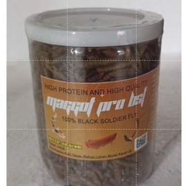 Maggot kering Pro bsf  / Maggot kering / pakan channa / pakan ikan makanan ikan channa makanan ikan 