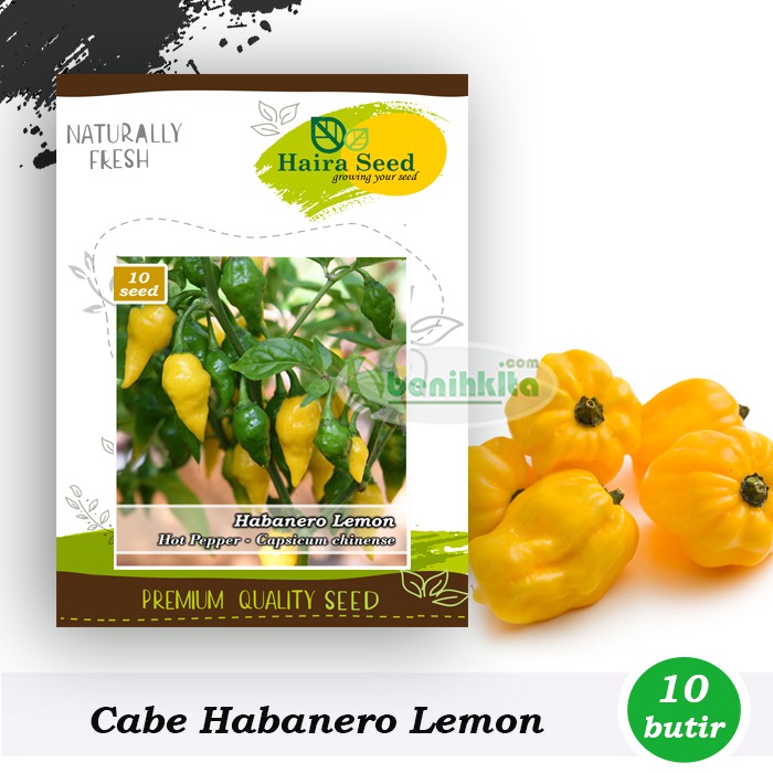 Benih-Bibit Cabe Super Pedas Habanero Lemon (Haira Seed)