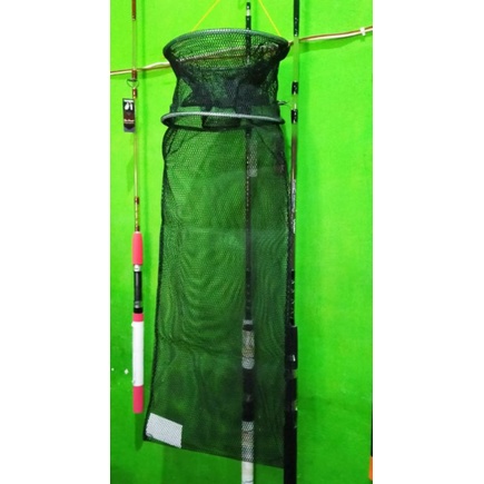 korang koja tempat ikan tebal kuat