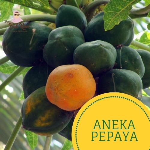 

[Bekasi] Buah Pepaya Segar / Pepaya Lokal / Pepaya California - Pc
