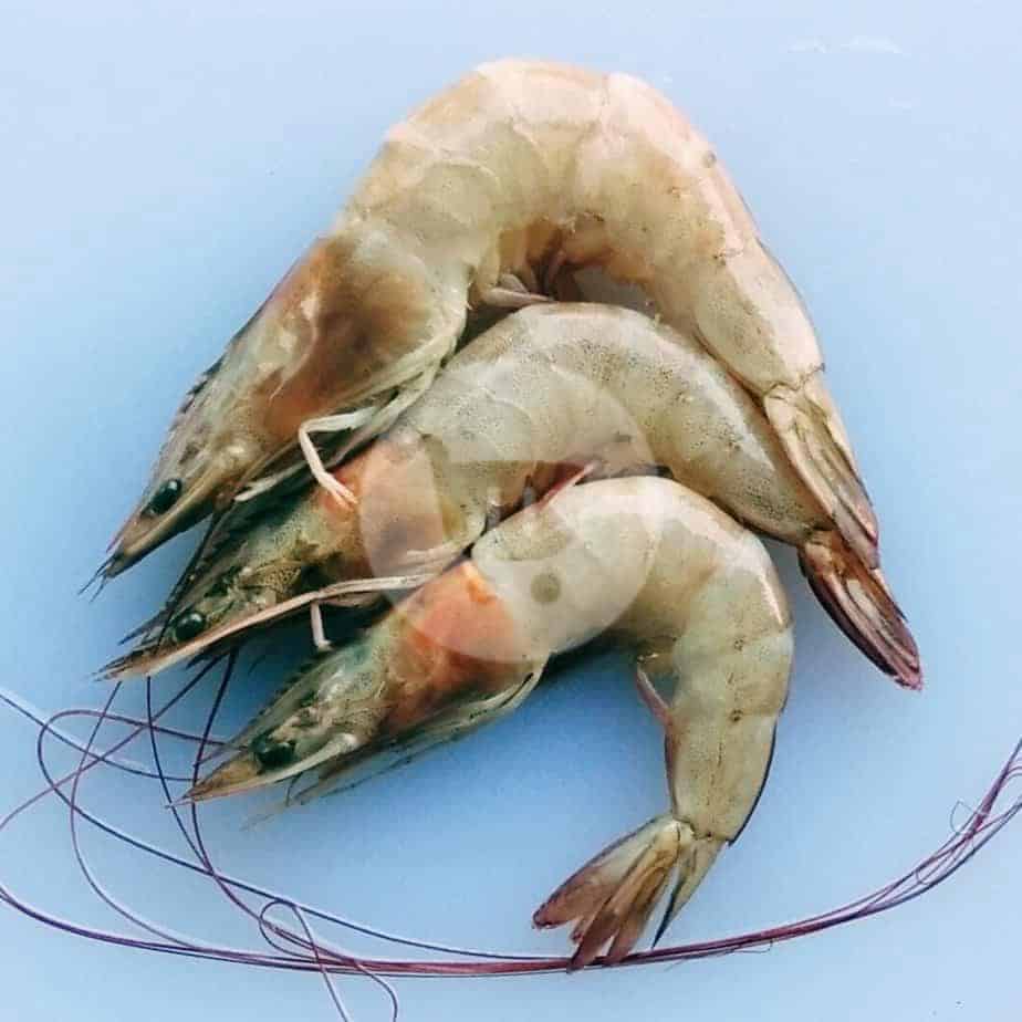 

Udang Ukuran Sedang 500 g
