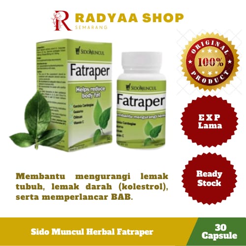 Sido Muncul Fatraper 30 Kapsul  Herbal penurun kolesterol dan lemak tubuh