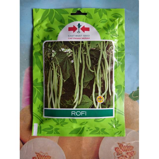 Benih Bibit Buncis Unggul ROFI SP 225bj