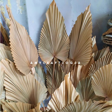 Daun Palem Kering/Dekorasi Rumah/Dekorasi Pesta/Dekorasi Hias/Dekorasi Rumah