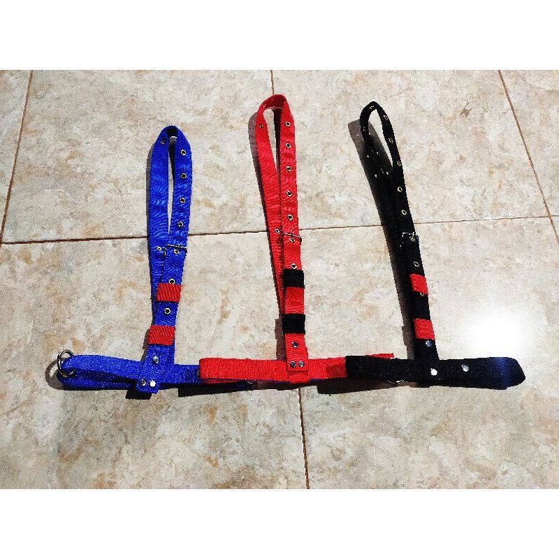 Head Halter Brangus Sapi Kuda Kelas Besar Prospek Kontes