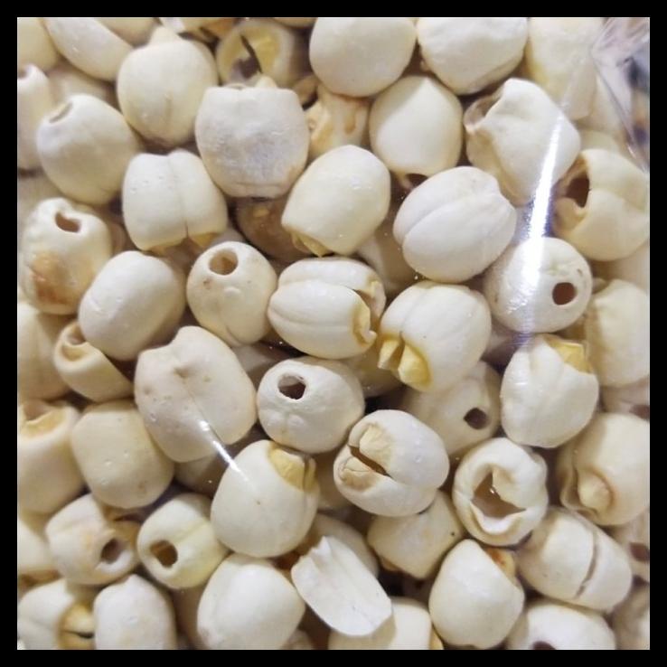 

DISKON TERBATAS !!! 500GR BIJI TERATAI / LIENCI / LIEN ZI / LOTUS SEED TERLARIS