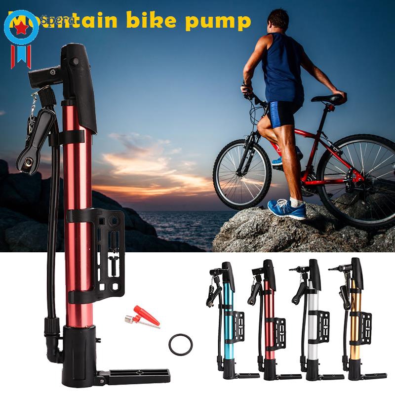 mountain bike tyre pump