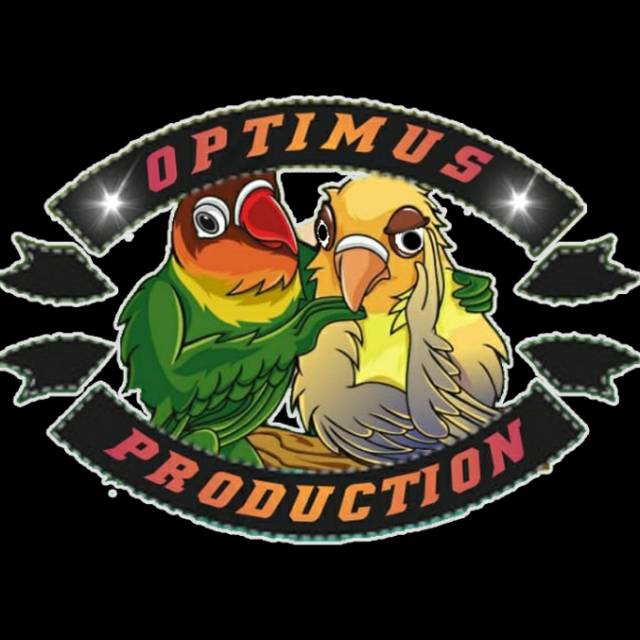 optimus_production