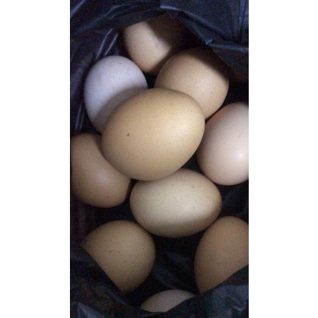 

telor ayam omega 3