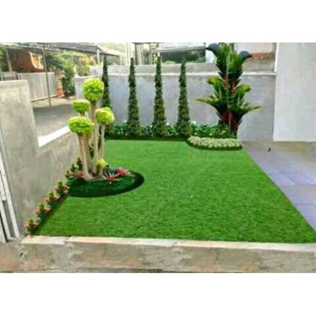 Rumput gajah mini ukuran 1mx1m