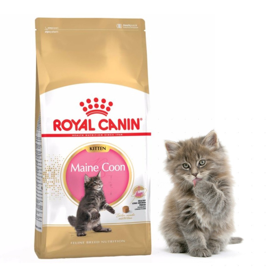 Royal canin kitten maine coon 2 kg makanan kucing 2kg