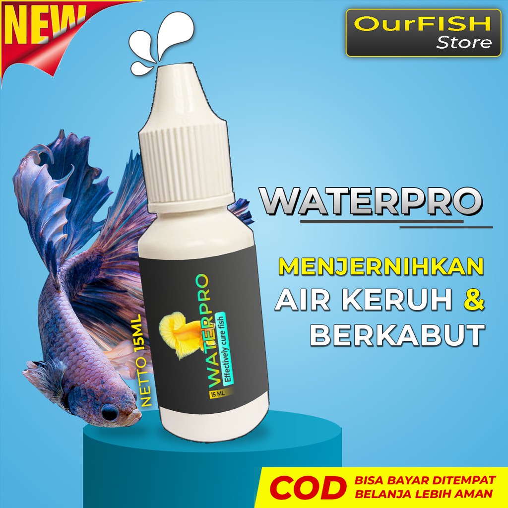 OURFISH - Penjernih Air Aquarium Aquascape Kolam Ikan Hias Cupang Avatar Gordon Blue Rim Multicolor Guppy