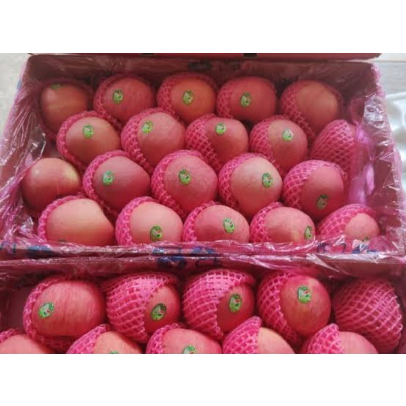 BUAH APEL FUJI 1 KG FRESH