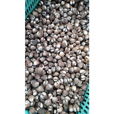 

makanan laut